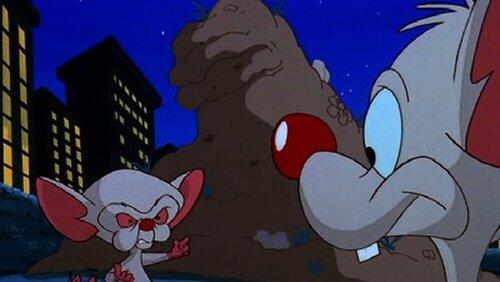 Say What, Earth? Say What, Earth?