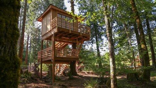 Towering Treetop Teahouse Towering Treetop Teahouse