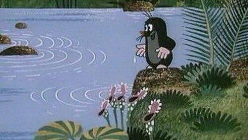 The Mole and the Medicine The Mole and the Medicine