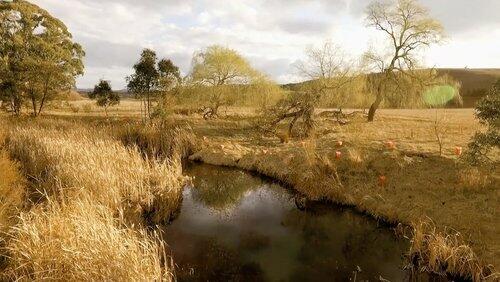 Hope Springs Hope Springs