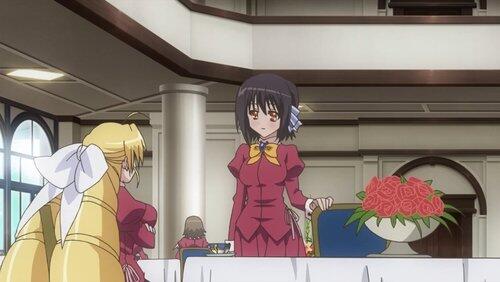 Lady Versus Lady! Lady Versus Lady!