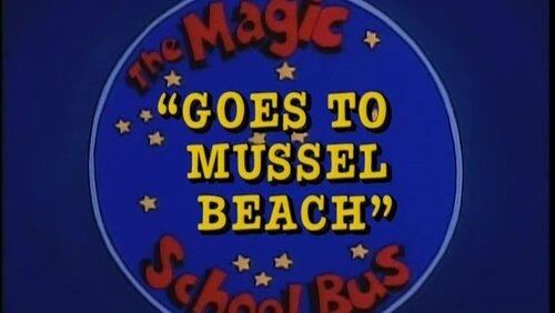 Goes to Mussel Beach (Tidal Zones) Goes to Mussel Beach (Tidal Zones)