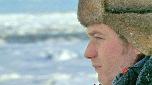 The Polar Bears of Churchill with Ewan McGregor The Polar Bears of Churchill with Ewan McGregor
