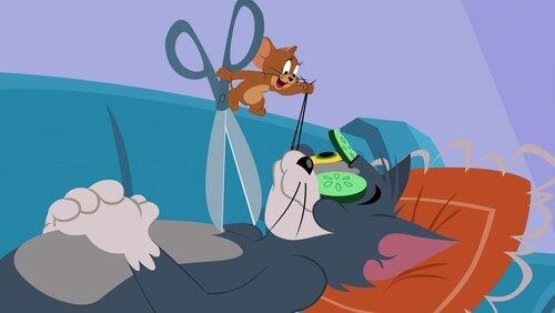 Spike Gets Skooled, Cat's Ruffled Fur-niture