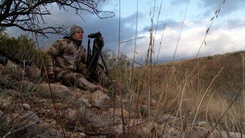 Stalking the Grey Ghost: Arizona Coues Whitetail Deer Stalking the Grey Ghost: Arizona Coues Whitetail Deer
