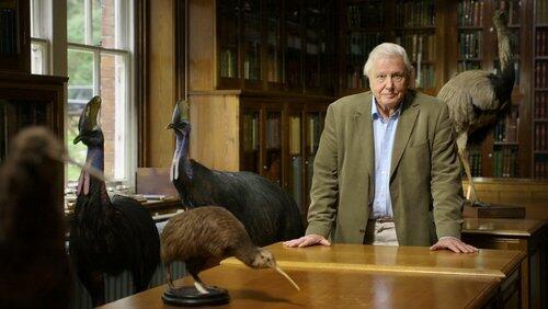 Attenborough's Big Birds Attenborough's Big Birds