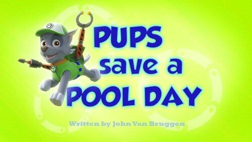 Pups Save a Pool Day Pups Save a Pool Day