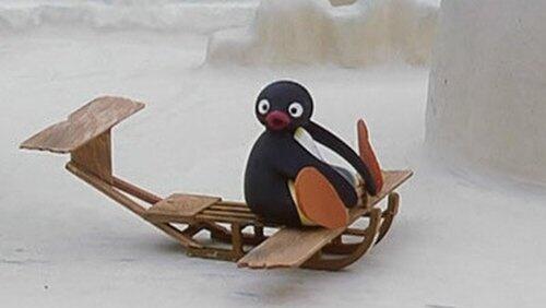 Pingu the Pilot Pingu the Pilot