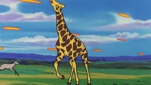 The Safari Panic from Hell! The Safari Panic from Hell!