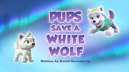 Pups Save a White Wolf Pups Save a White Wolf