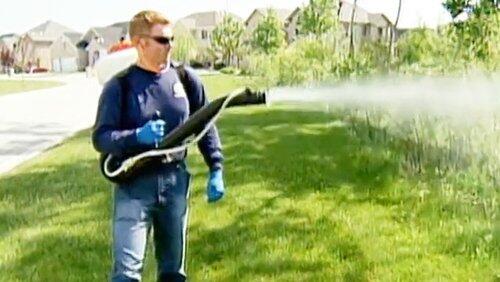 Exterminator