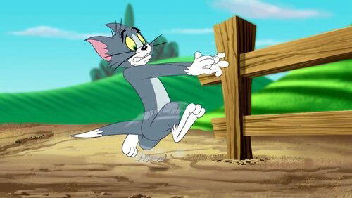 Tom Cat, Superstar Tom Cat, Superstar