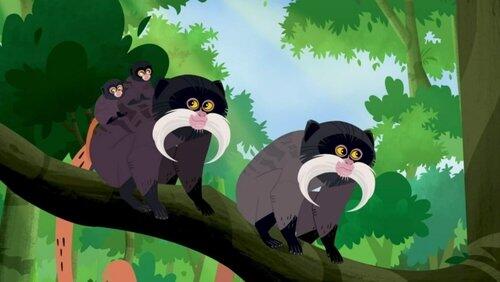 Mystery Of The Mini Monkey Models Mystery Of The Mini Monkey Models