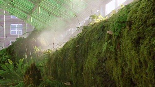 Ecology Ecology