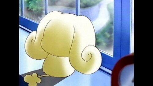 Choppi is homesick, chopi? Choppi is homesick, chopi?