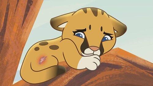 Chompy the Baby Mountain Lion Chompy the Baby Mountain Lion