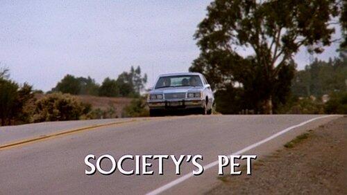Society's Pet Society's Pet