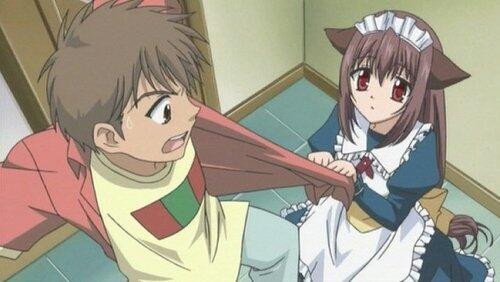Because I'm a Maid... Because I'm a Maid...