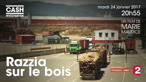 Razzia sur le bois, les promesses en kit des géants du meuble Razzia sur le bois, les promesses en kit des géants du meuble