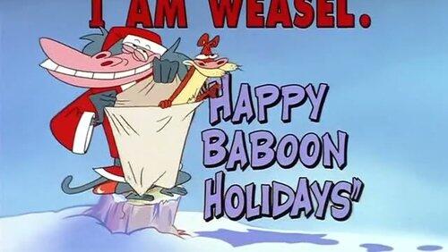 Happy Baboon Holidays Happy Baboon Holidays