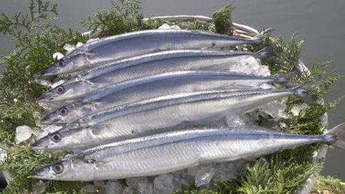 Sanma Sanma
