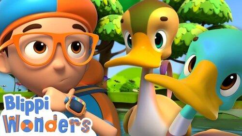Sink or Float With Ducks! Sink or Float With Ducks!