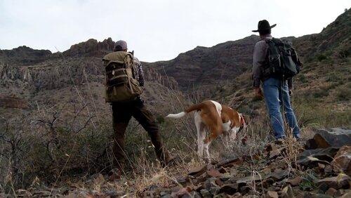 The Fair Chase: Arizona Mountain Lion The Fair Chase: Arizona Mountain Lion