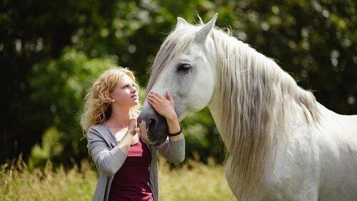 Das weiße Pferd Das weiße Pferd