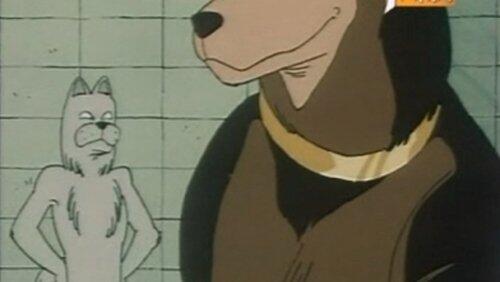 Episode 19 Episode 19