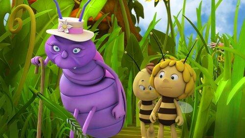 Mrs Hermit Beetle's Journey Mrs Hermit Beetle's Journey