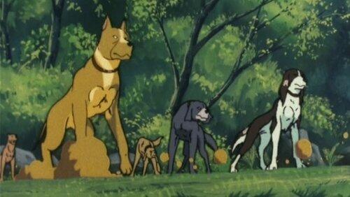 Demon dogs! The three Kai brothers! Demon dogs! The three Kai brothers!