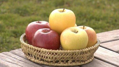 Apple Apple