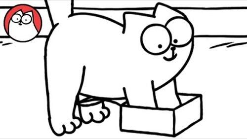 Little Box Little Box