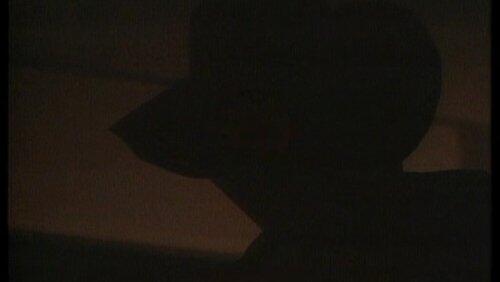 The Shadow Man