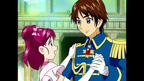 Pretty Cure 5`s Cinderella Story Pretty Cure 5`s Cinderella Story
