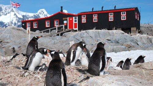 Penguin Post Office Penguin Post Office