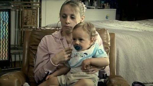 The Pregnancy The Pregnancy