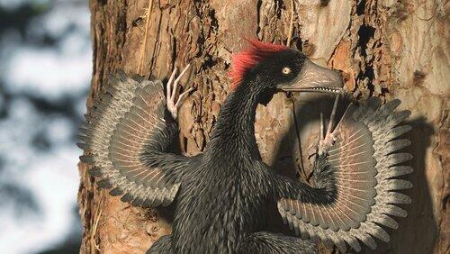 Le mystère des dragons à plumes Le mystère des dragons à plumes