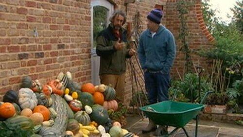 Pumpkin and Squash Pumpkin and Squash