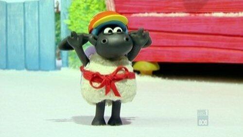 Timmy Slips Up Timmy Slips Up