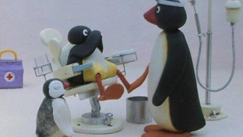 Pingu at the Doctor's Pingu at the Doctor's