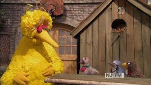 The Good Birds Club The Good Birds Club