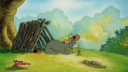 Eeyi Eeyi Eeyore Eeyi Eeyi Eeyore