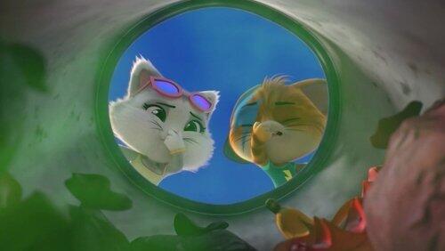 Snobine, la gattina snob