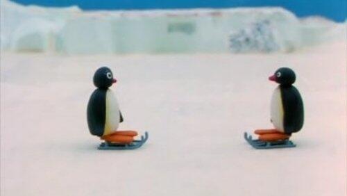 Pingu's First Kiss Pingu's First Kiss