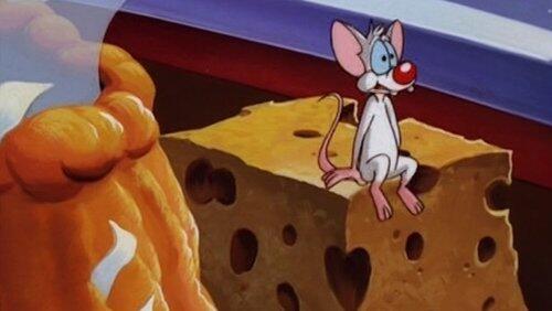 Better Living...Through Cheese Better Living...Through Cheese