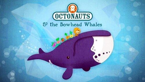 The Bowhead Whales The Bowhead Whales
