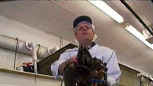 Crustacean Nation II: Claws Crustacean Nation II: Claws