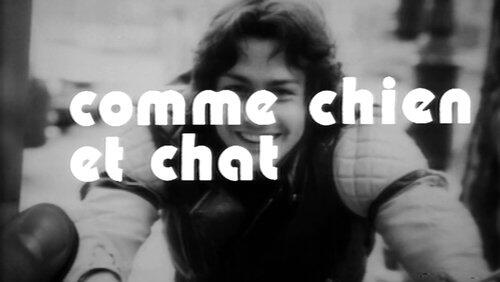 Comme chien et chat Comme chien et chat