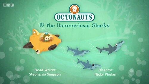 The Hammerhead Sharks The Hammerhead Sharks